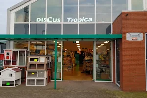 Discus Tropica Animals image