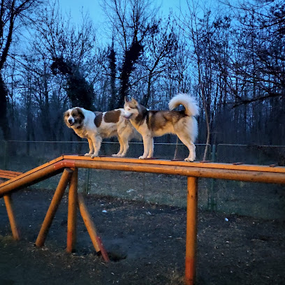 Кучешки парк „Розариум“