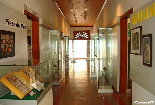 Museo de Historia Natural de El Salvador