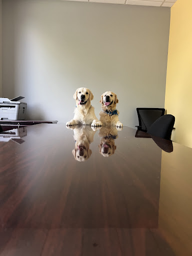 Unleashed Veterinary Care image