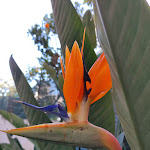 Photo n°2 de l'avis de Cécile.o fait le 03/05/2022 à 19:52 sur le  Hotel Eliseo Park's à Sant'Agnello