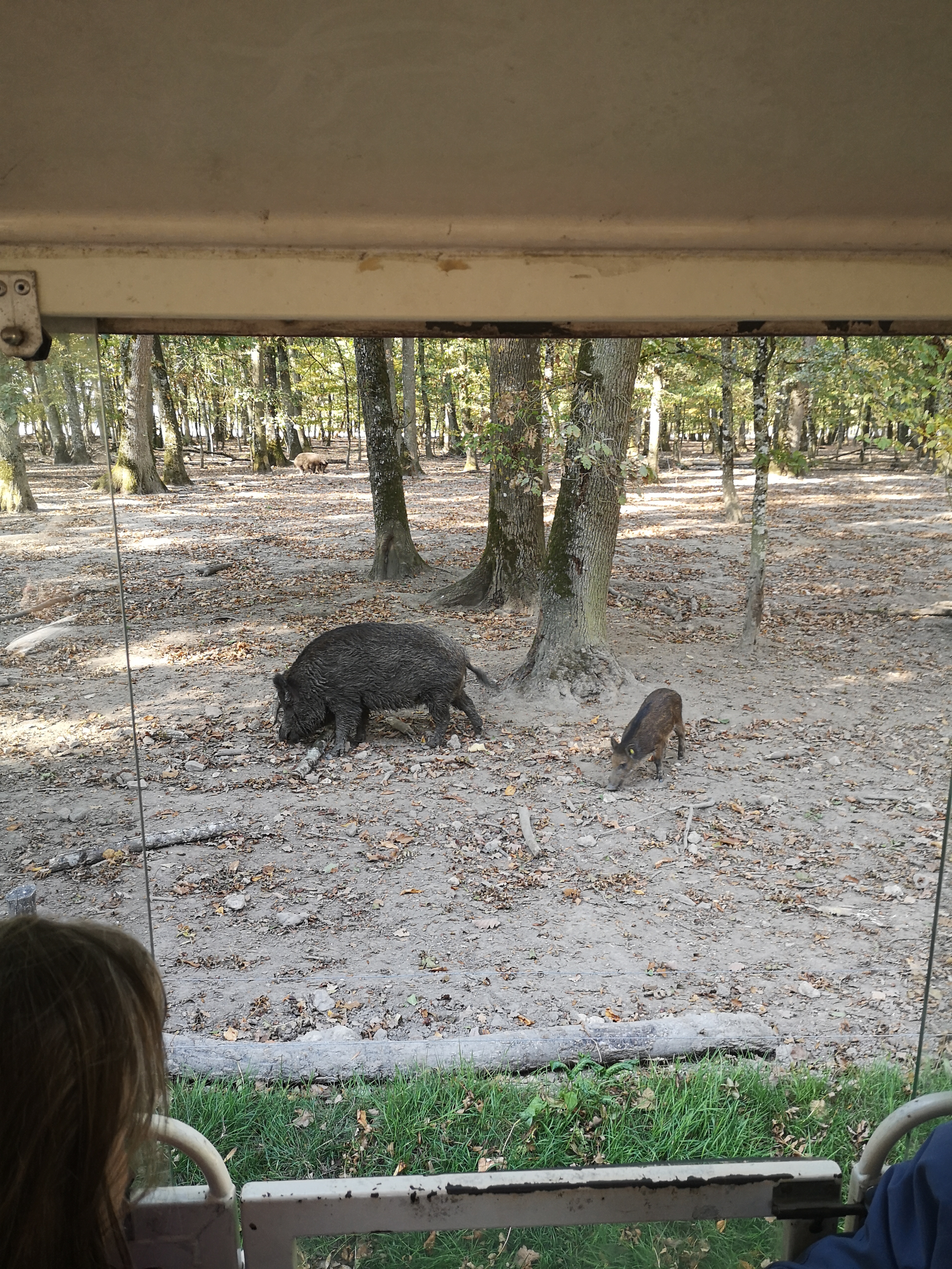 Photo n° 10 de l'avis de Gonzague.a fait le 17/10/2018 à 16:20