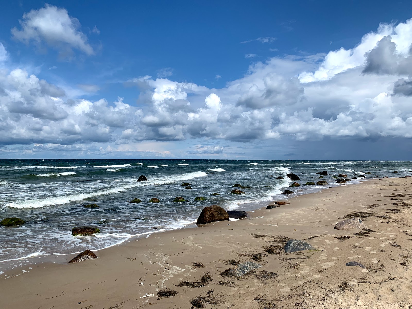 Der Bakenberg mit Ostseestrand'in fotoğrafı vahşi alan