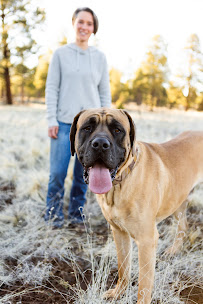 Canine Movement Lab - Photo 2 - Car repair in Chattanooga, TN, Chattanooga