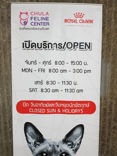 Small Animal Hospital Chulalongkorn University