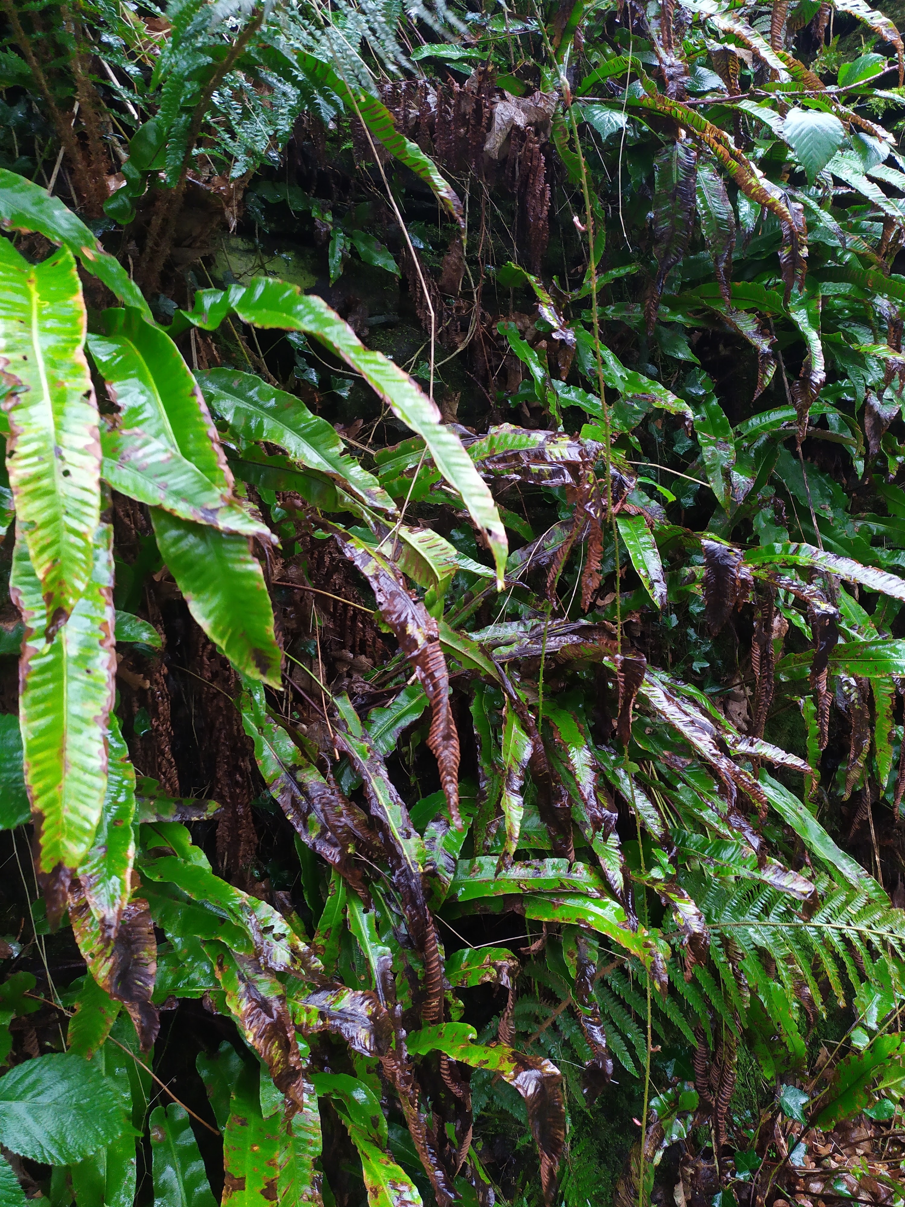 Photo n° 5 de l'avis de Céline.r fait le 20/02/2020 à 17:52