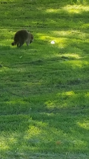 Public Golf Course «Fox Prairie Golf Course», reviews and photos, 8465 E 196th St, Noblesville, IN 46062, USA