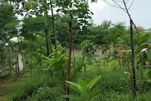 Miyawaki forest, Old Pallavaram image