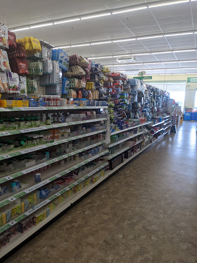 Dollar Store «Dollar Tree», reviews and photos, 100 Northeast Ave, North East, MD 21901, USA