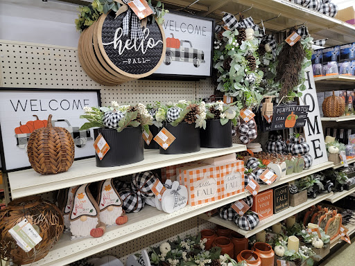 Discount Store «Big Lots», reviews and photos, 924 N Main St, Suffolk, VA 23434, USA