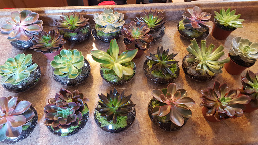 Florist «Convention Floral», reviews and photos, 5932 3rd St NW, Washington, DC 20011, USA