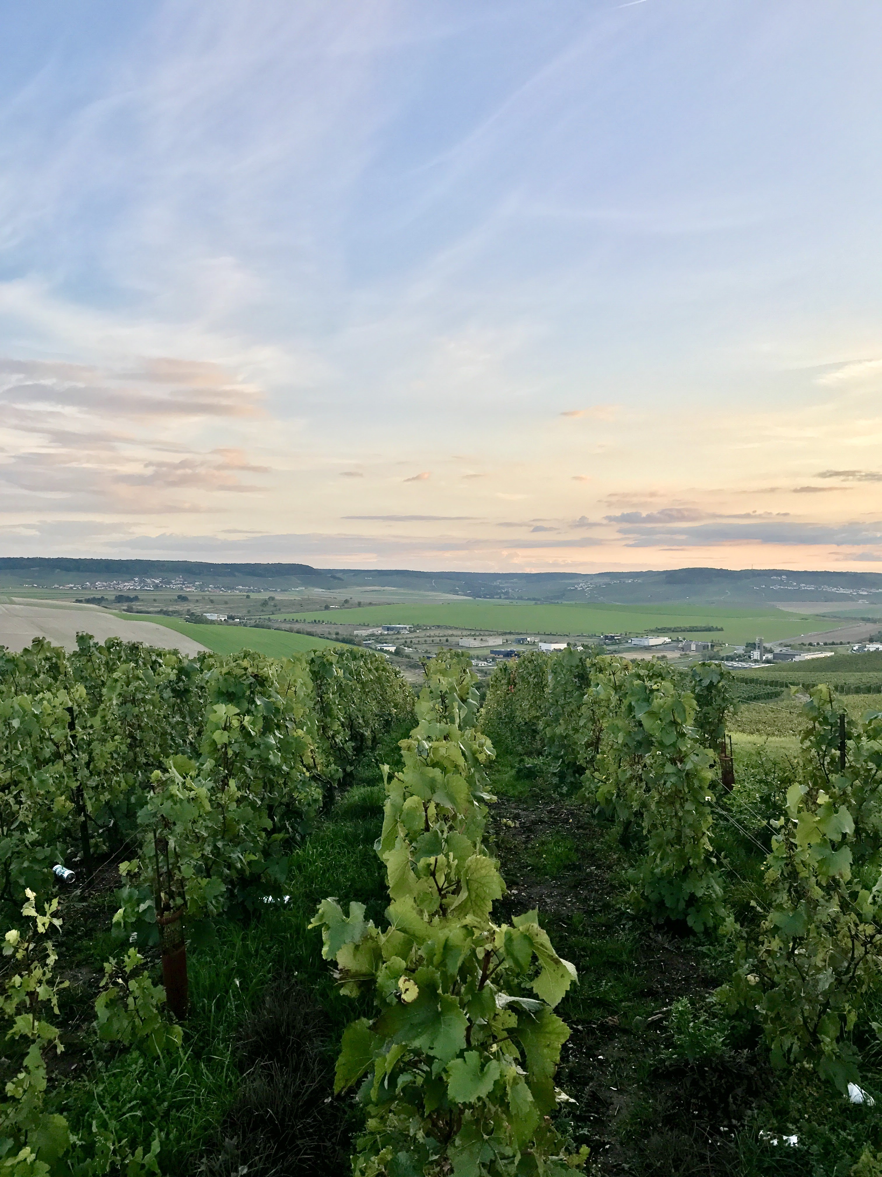 Photo n° 2 de l'avis de Jan.u fait le 23/09/2017 à 10:35