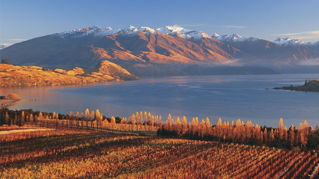 Comments and reviews of Central Otago Winegrowers Association