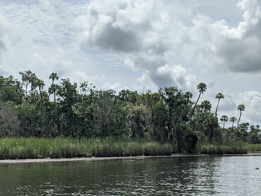 Tourist Attraction «Fun 2 Dive - Swim with Manatees», reviews and photos, 135 NE 3rd St, Crystal River, FL 34429, USA