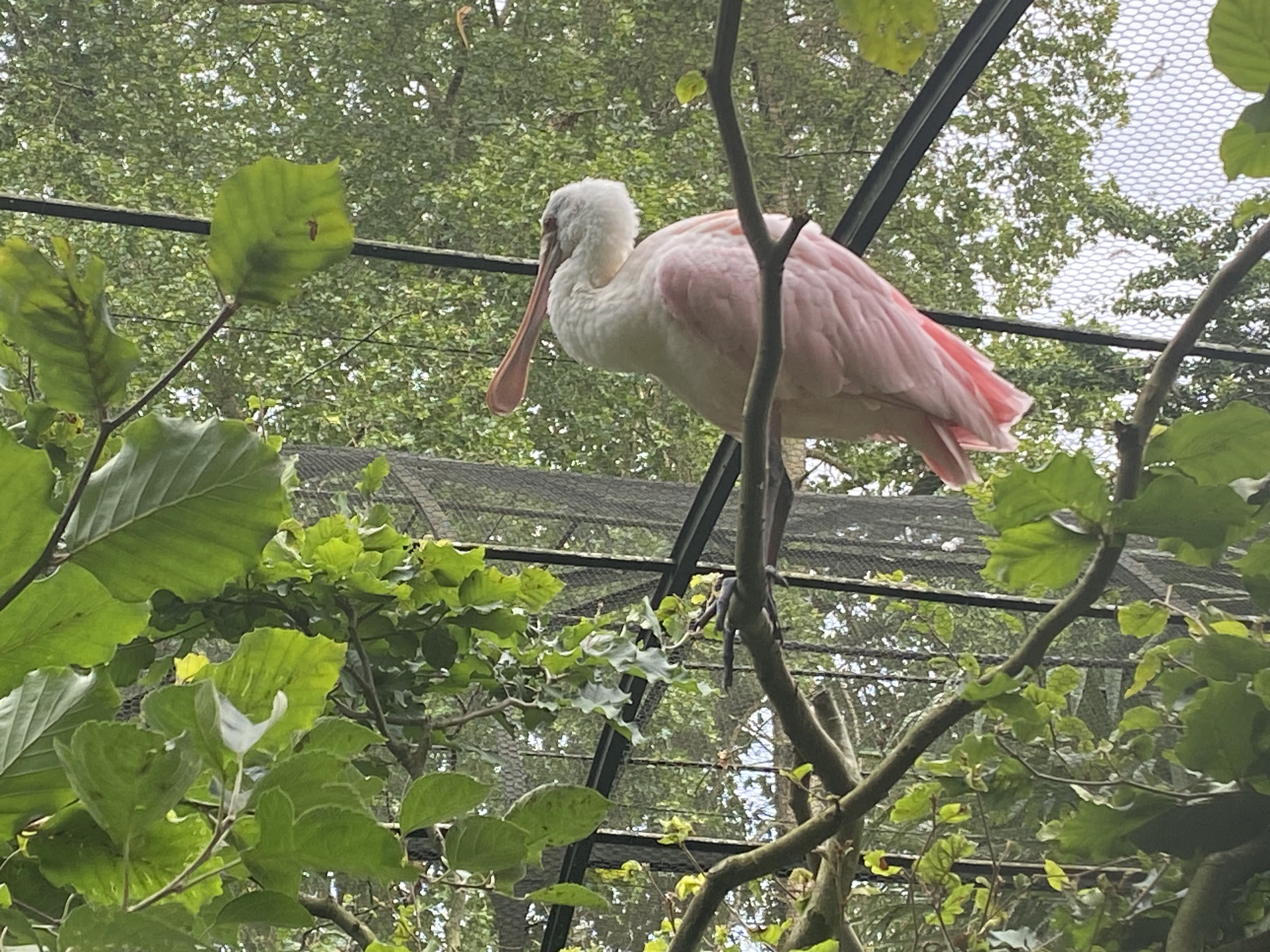 Photo n° 27 de l'avis de Mickael.e fait le 11/08/2023 à 05:54