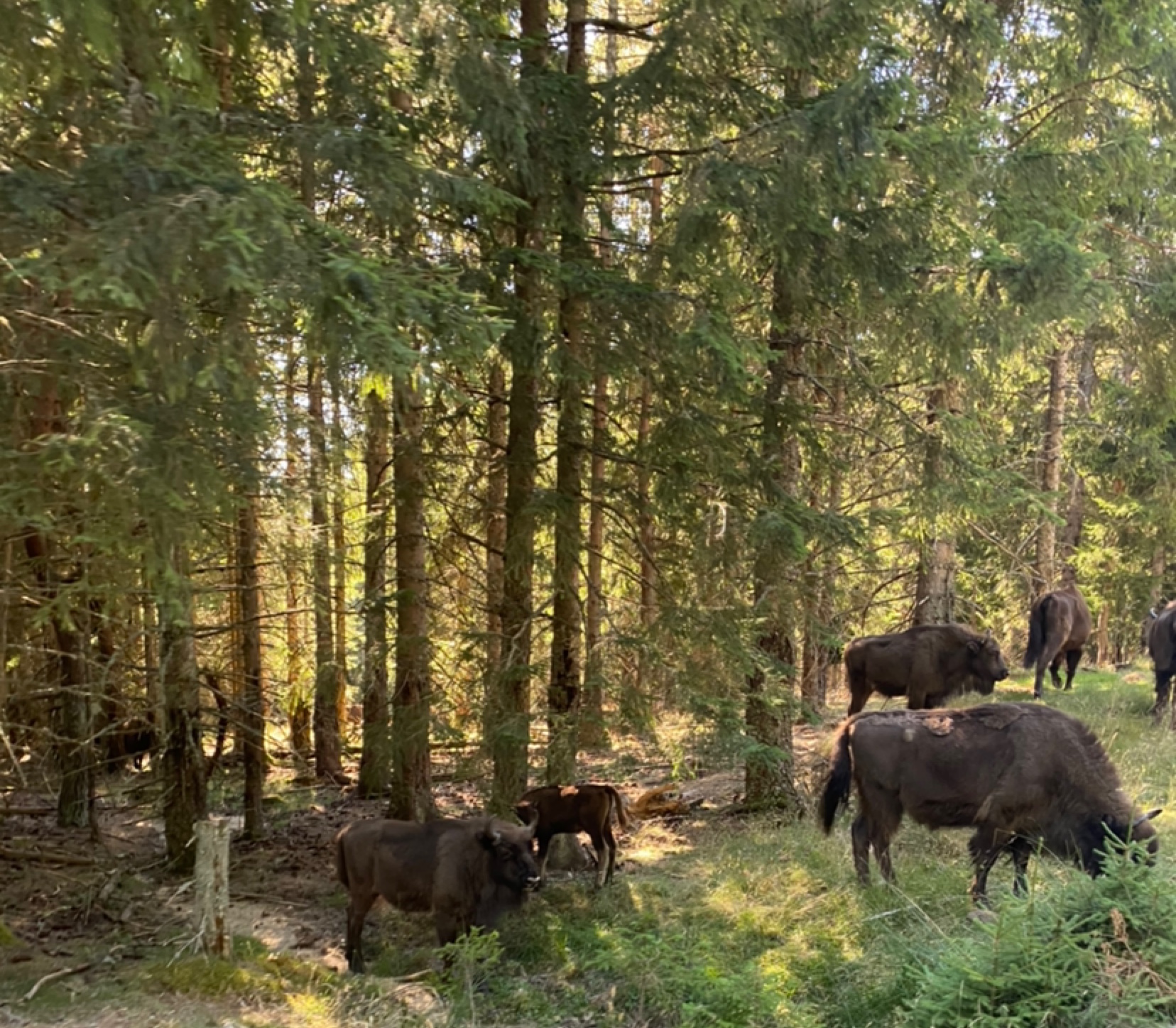 Photo n° 6 de l'avis de Agathe. fait le 04/08/2022 à 12:02