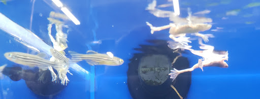 Pet Supply Store «Pet Supermarket, Inc.», reviews and photos, 598 N McCarran Blvd, Sparks, NV 89431, USA