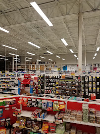 Office Depot - Photo 3 - Car repair in Denton, TX, Denton