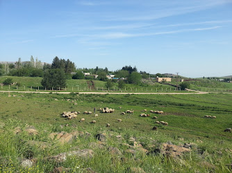 Dumluca Köyü Muhtarliği