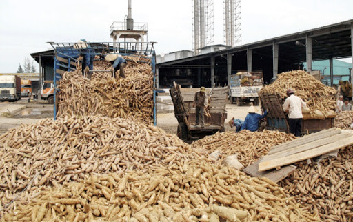 Top 3 cửa hàng bkav Huyện Tân Châu Tây Ninh 2022