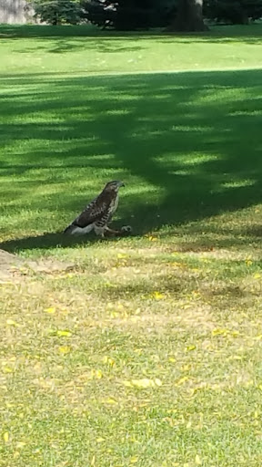 Golf Club «Fellows Creek Golf Course», reviews and photos, 2936 S Lotz Rd, Canton, MI 48188, USA