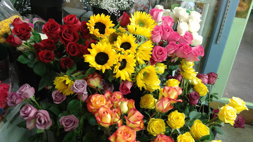 Artistic Flowers & Gifts, 6821 Broadway, Denver, CO 80221, USA, 