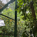 Photo n°5 de l'avis de Danielle.e fait le 25/06/2023 à 07:37 sur le  O'Parrucchiano La Favorita à Sorrento