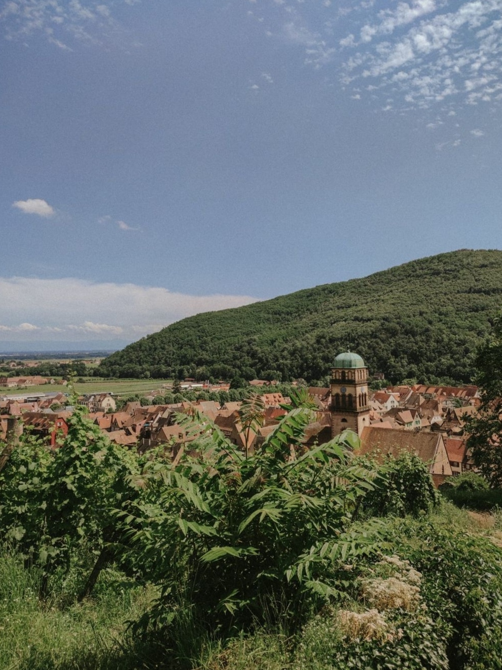 Photo n° 2 de l'avis de Clélia.a fait le 22/08/2023 à 14:26