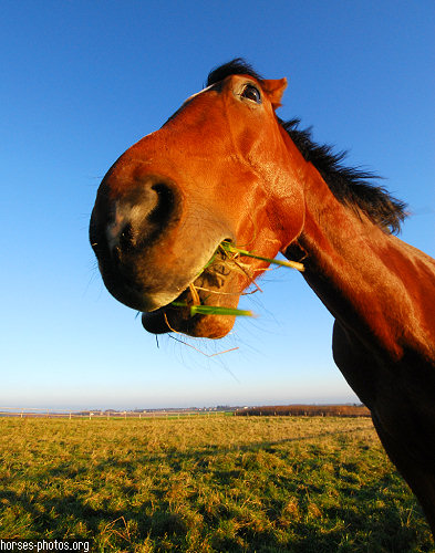 Veterinarian «Ashland Area Veterinary Clinic», reviews and photos, 2700 Farm Rd, Ashland, WI 54806, USA