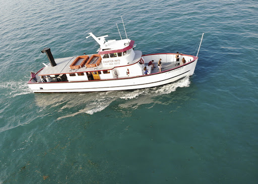 Wendy K. Yacht Charters