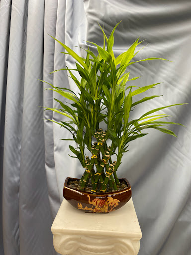 Florist «Morton Grove Florist», reviews and photos, 5741 Dempster St, Morton Grove, IL 60053, USA