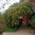 Photo n°3 de l'avis de Simone.i fait le 19/04/2019 à 12:12 sur le  Hotel Concorde Fair à Gerenzano