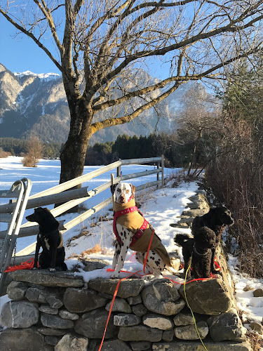 Rezensionen über Pfotencoach in Chur - Hundeschule