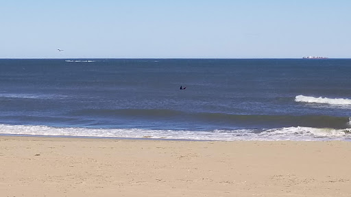 Army & Navy Surplus Shop «Navy Exchange-Dam Neck Annex», reviews and photos, 1977 Terrier Ave, Virginia Beach, VA 23461, USA