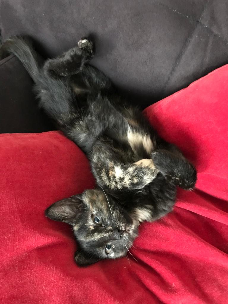 Photo n° 2 de l'avis de Charlotte.I fait le 30/12/2020 à 22:07