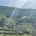 Photo n°24 de l'avis de Maria.o fait le 09/04/2023 à 19:33 sur le  Casa do Rio à Vila Nova de Foz Côa