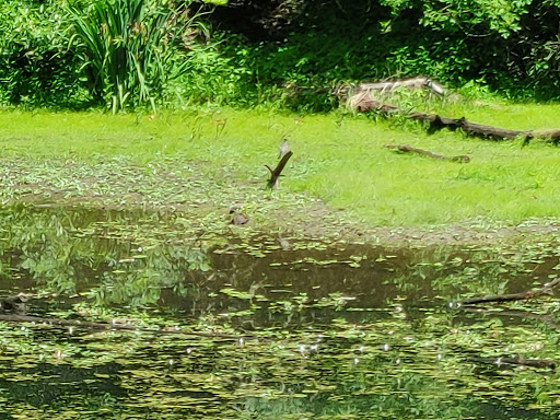 Nature Preserve «Smith and Bybee Wetlands Natural Area», reviews and photos, 5300 N Marine Dr, Portland, OR 97203, USA