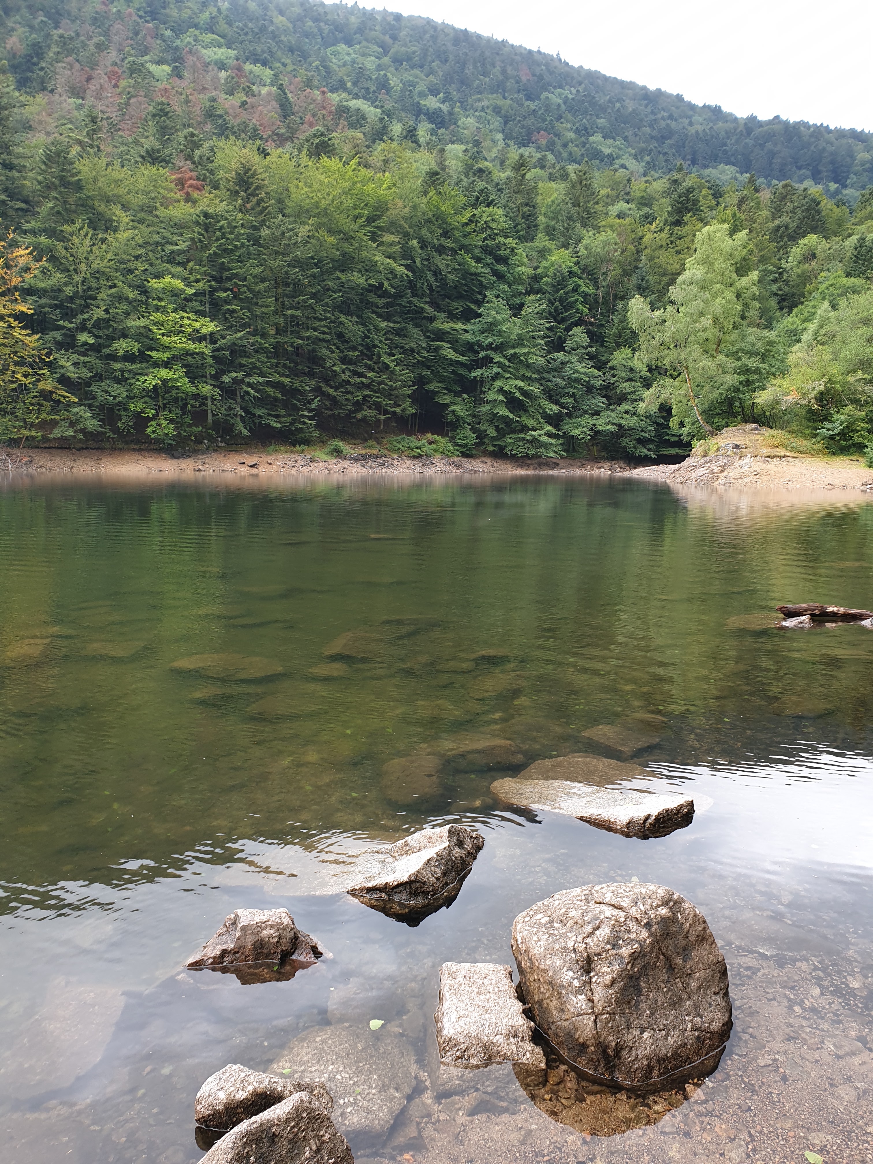 Photo n° 22 de l'avis de Christophe.r fait le 28/07/2019 à 18:55