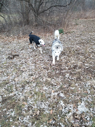 Farm «Pequitside Farm», reviews and photos, 79 Pleasant St, Canton, MA 02021, USA