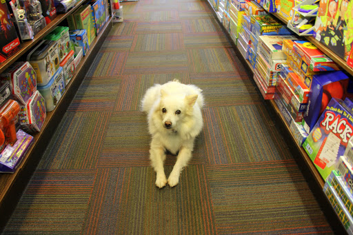 Toy Store «Brookside Toy and Science», reviews and photos, 330 W 63rd St, Kansas City, MO 64113, USA