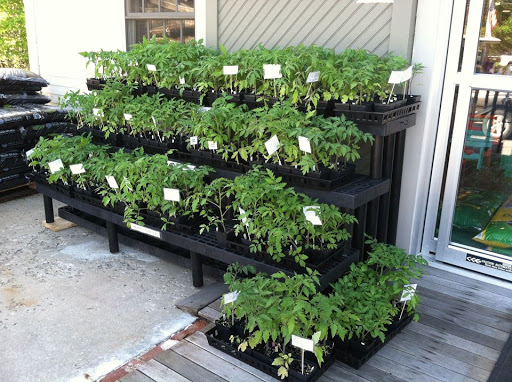 Home Improvement Store «Coastal Living Paint & Hardware», reviews and photos, 82 Lafayette Rd, Hampton Falls, NH 03844, USA