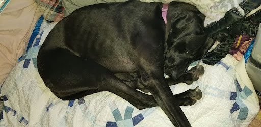 Pet Supply Store «PetSmart», reviews and photos, 4190 Vinewood Ln N, Plymouth, MN 55442, USA