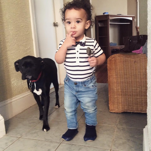 Supermarket «Big Y», reviews and photos, 1111 Providence Hwy, Walpole, MA 02081, USA