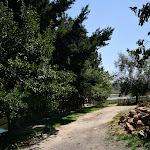 Photo n°10 de l'avis de Luigi.o fait le 19/09/2021 à 16:37 sur le  Azienda agricola FATTORIA DEL LAGO à Celico