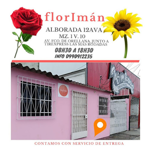 Flor Imán - Floristería