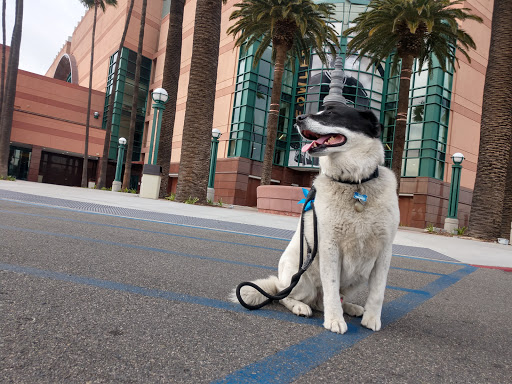 Arena «Honda Center», reviews and photos, 2695 E Katella Ave, Anaheim, CA 92806, USA