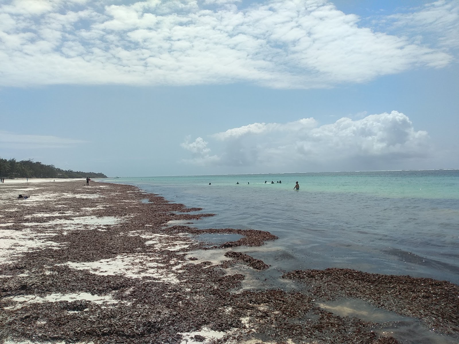 Fotografie cu Trade Winds Beach - locul popular printre cunoscătorii de relaxare