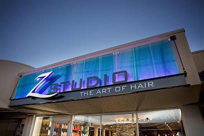 Z Studio: The Art of Hair