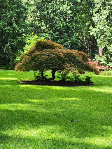 Place of Worship «The Grotto», reviews and photos, 8840 NE Skidmore St, Portland, OR 97220, USA