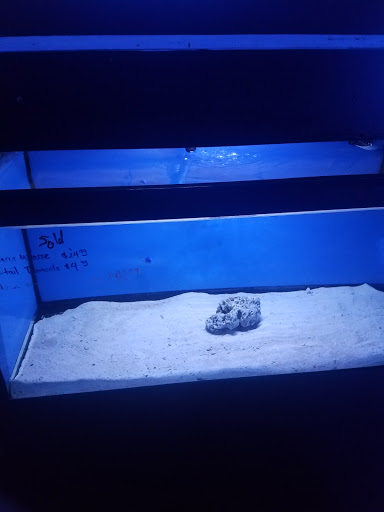 Tropical Fish Store «Hydra Aquatics International, Inc.», reviews and photos, 1300 Stirling Rd #7a, Dania Beach, FL 33004, USA